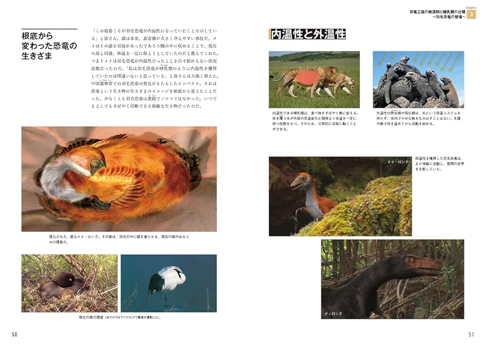 ダーウィンが来た! 生命大進化 第2集 現生動物への道が開かれた
